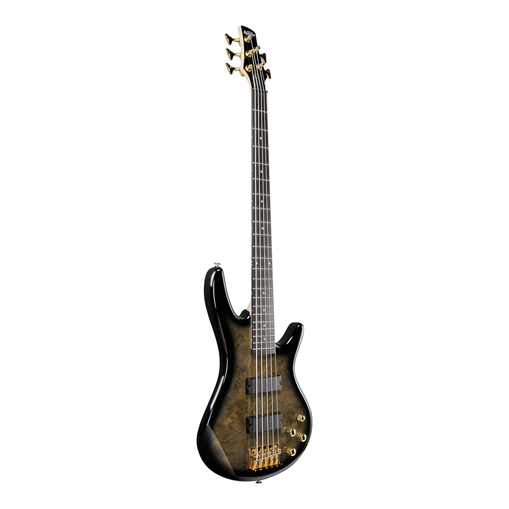 【*】様 Ibanez Gio GSR205PC-TMU 5弦ベース Amazon.com: Ibanez GSR205PC GIO 5-String Bass Guitar