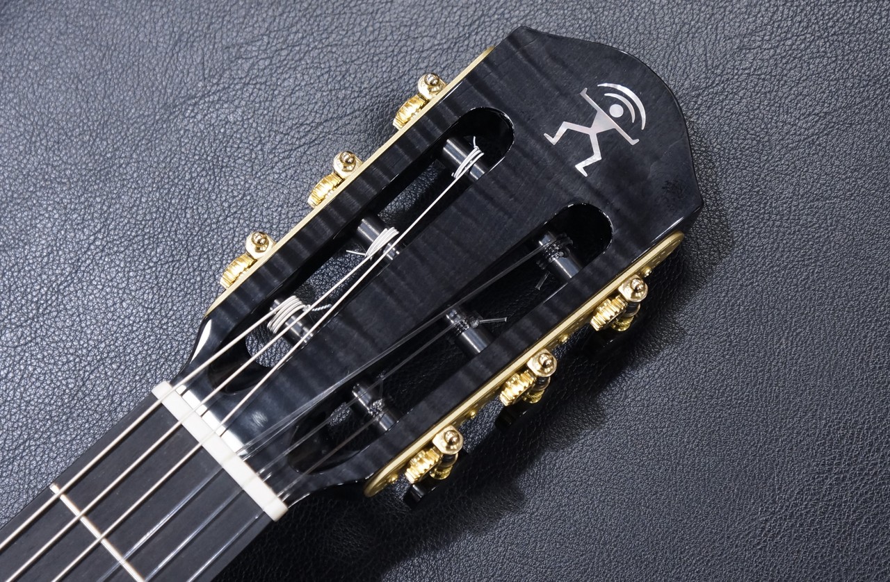 aNueNue aNN-LN77E（新品/送料無料）【楽器検索デジマート】