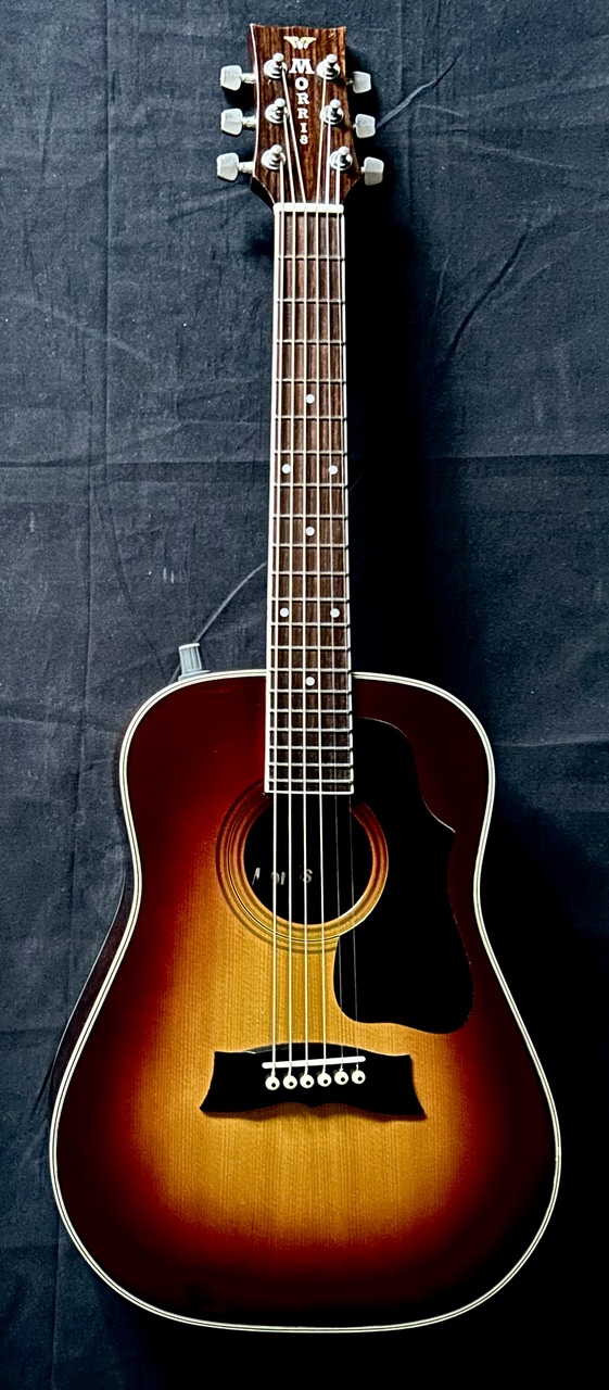 Morris MG-60E（中古）【楽器検索デジマート】
