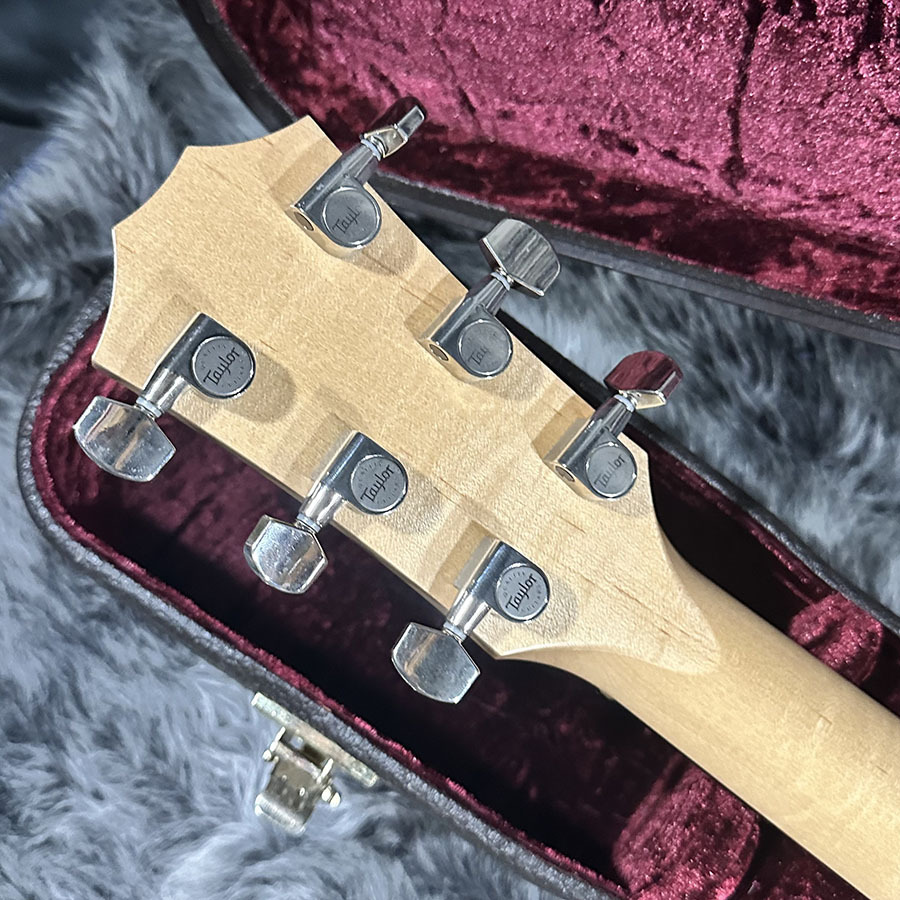 Taylor 316ce-JPN-LTD ES1 2014（中古/送料無料）【楽器検索デジマート】