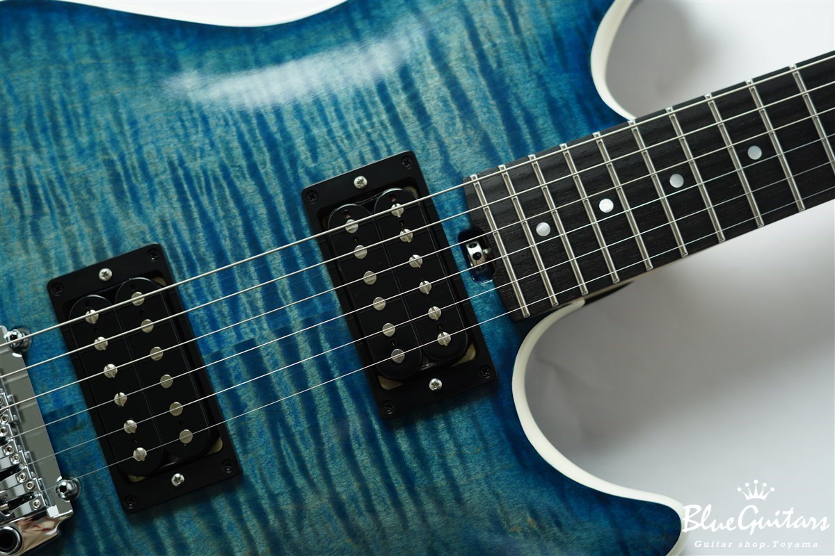 Nagisaページ Nishgaki Guitars Spira Shibasaki Hiroshi Specs（新品/送料