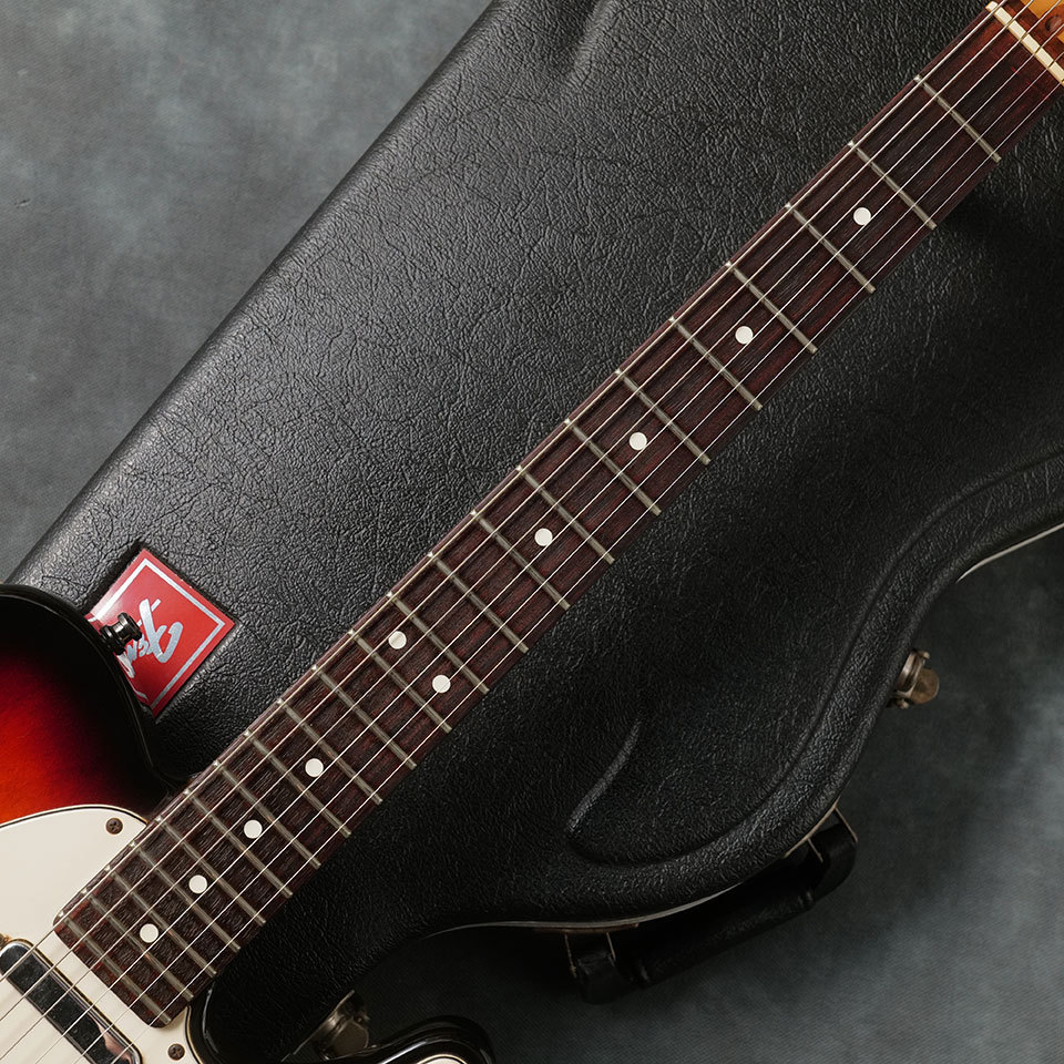 Fender American Standard Telecaster Rosewood 3TS 1995【中古