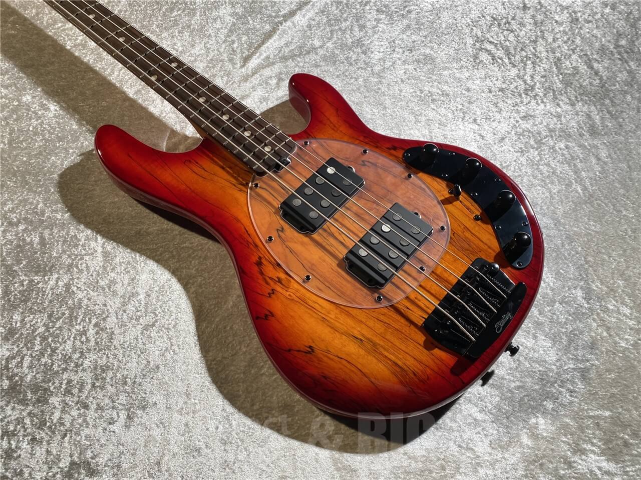 Rei⭐︎　ポールマリエ サンシールドUVベース　5点セット Sterling by MUSIC MAN STINGRAY RAY34 HH Spalted Maple Top (Blood