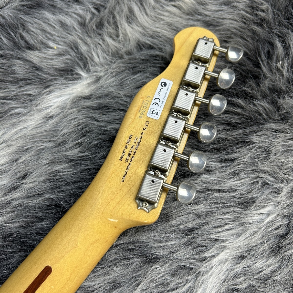 フジゲン テレキャスター NCTL-10M/ASH FgN(FUJIGEN)(エフジーエヌ(フジゲン)) / NCTL-10M/ASH エレキ
