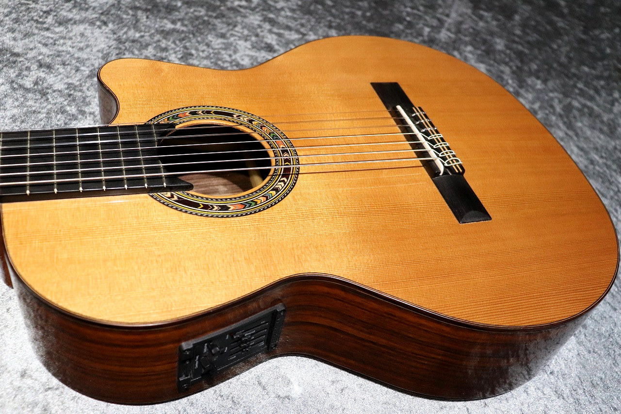 Orpheus Valley Guitars F65CW-7S【激エモ7弦エレガット】【現物写真】【池袋店在庫品】（新品）【楽器検索デジマート】