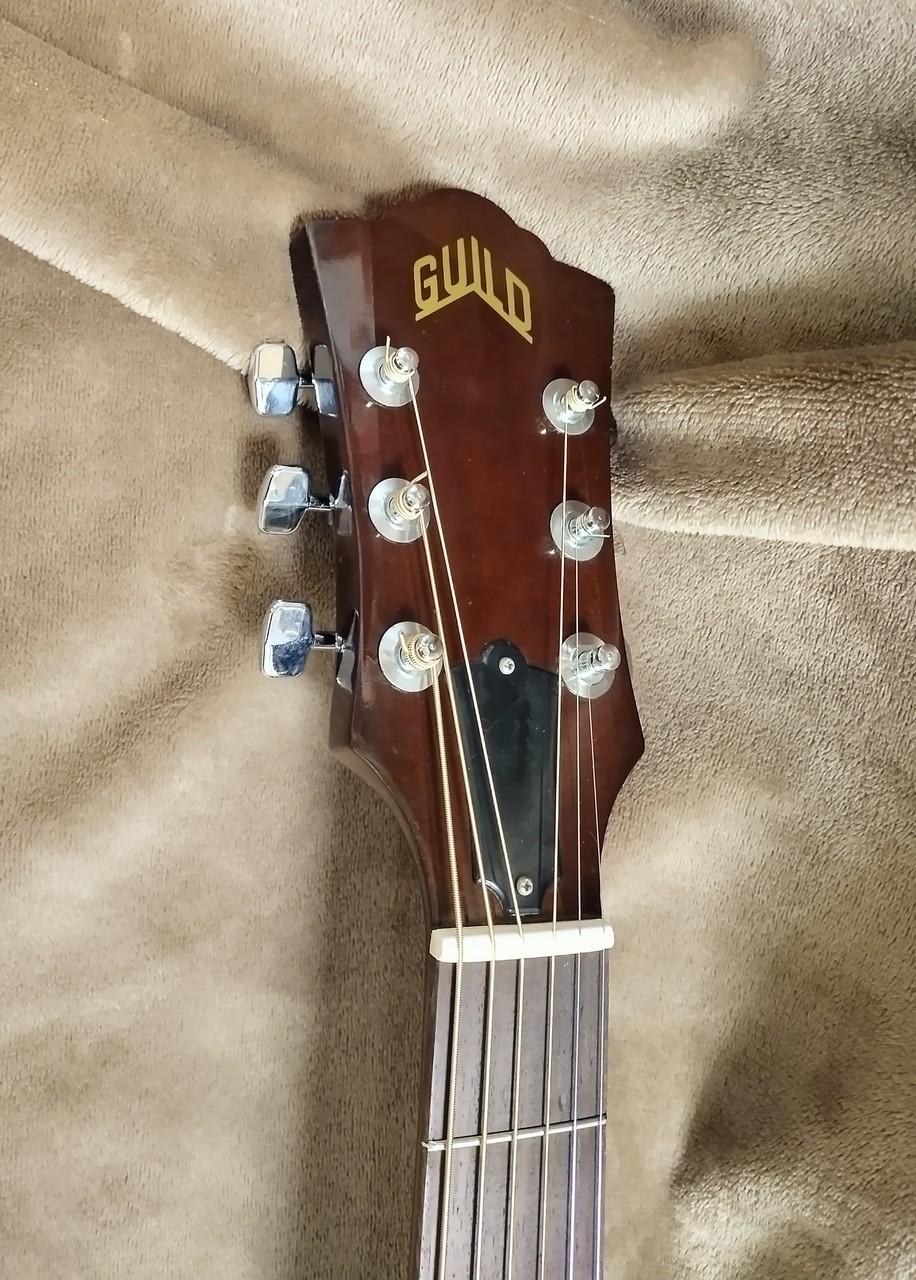 GUILD F-20（ビンテージ/送料無料）【楽器検索デジマート】