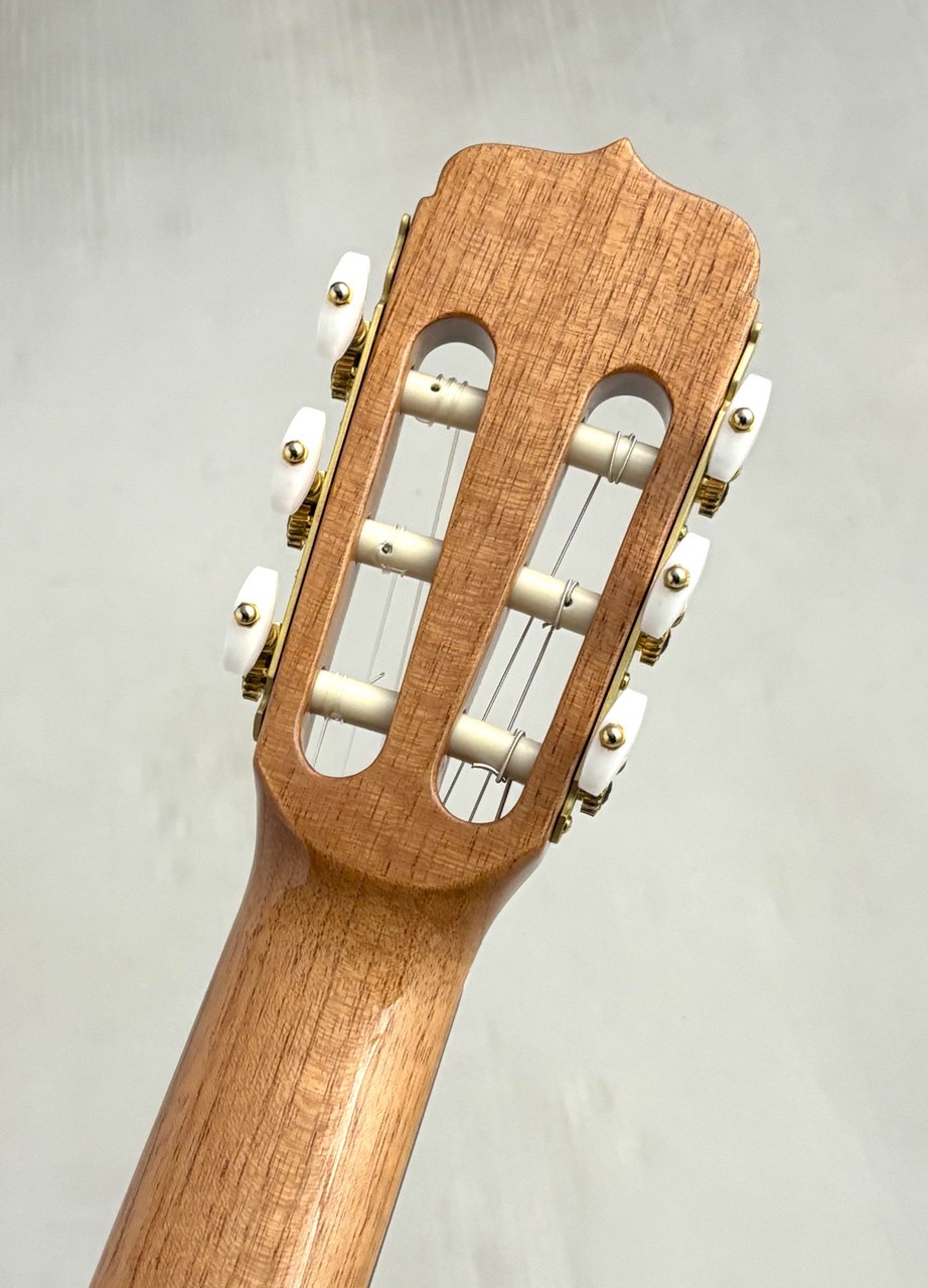 Jose Ramirez 【USED】Estudio 140 Cedar【2024年製】【スペイン製