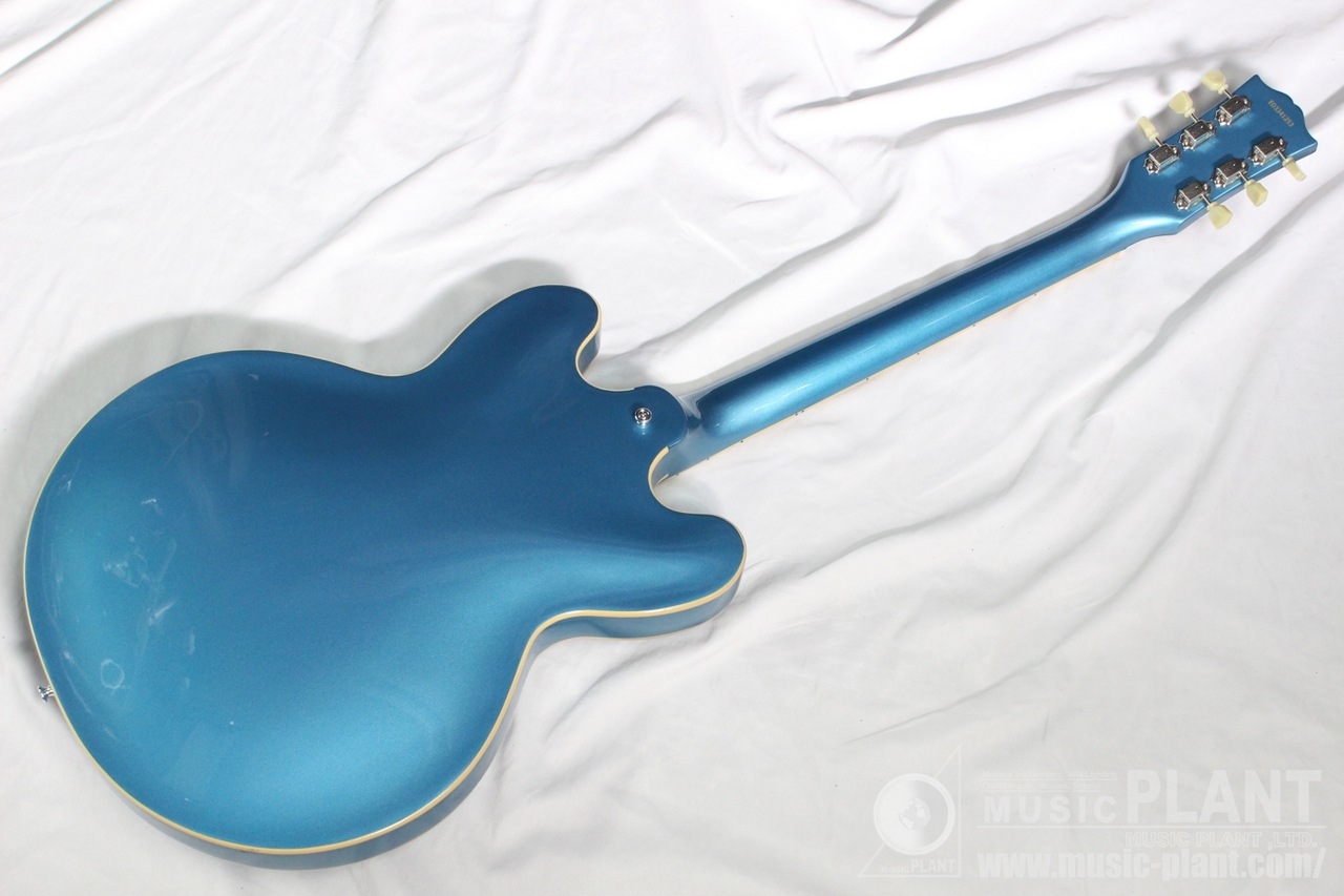 EDWARDS E-SA-STD LPB（新品/送料無料）【楽器検索デジマート】