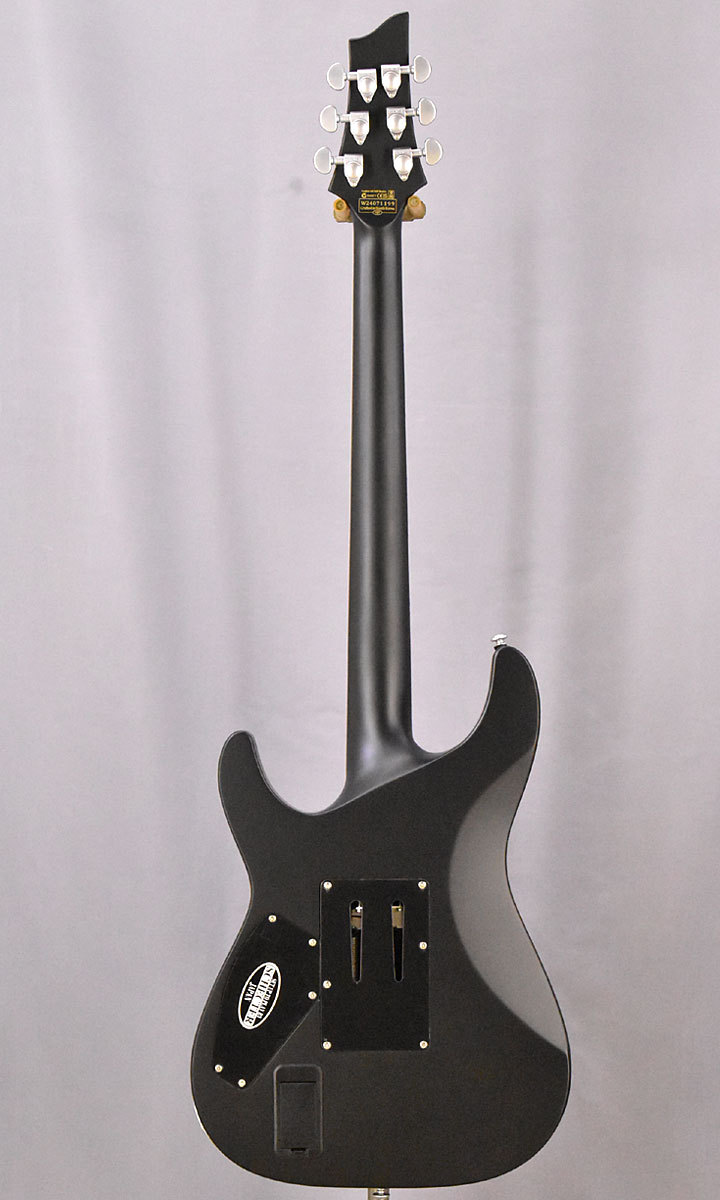 SCHECTER SCHECTER AD-DM-PTM-FR Damien Platinum-6FR SBK【小樽店