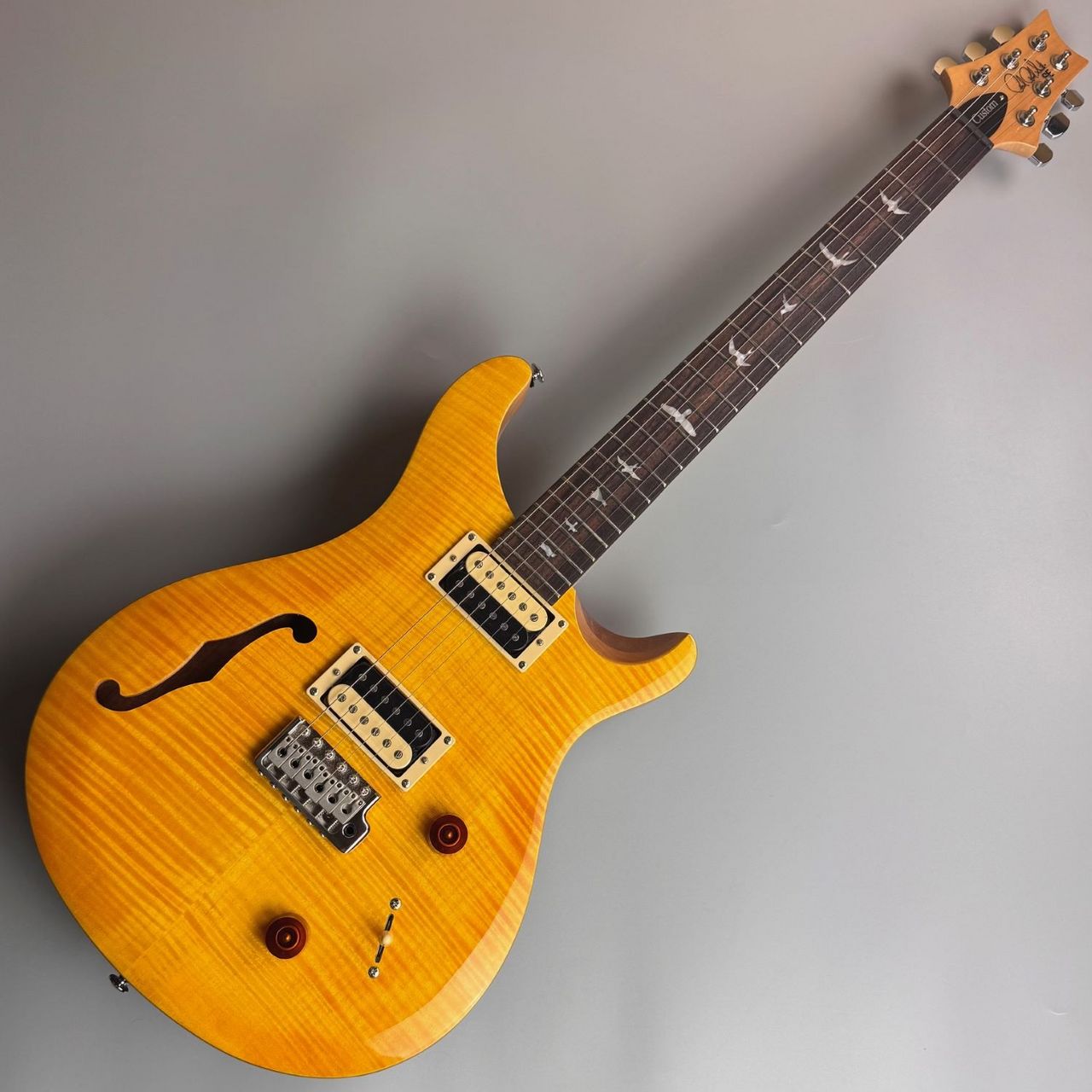 Paul Reed Smith(PRS) SE Custom 22 Semi-Hollow【現物画像