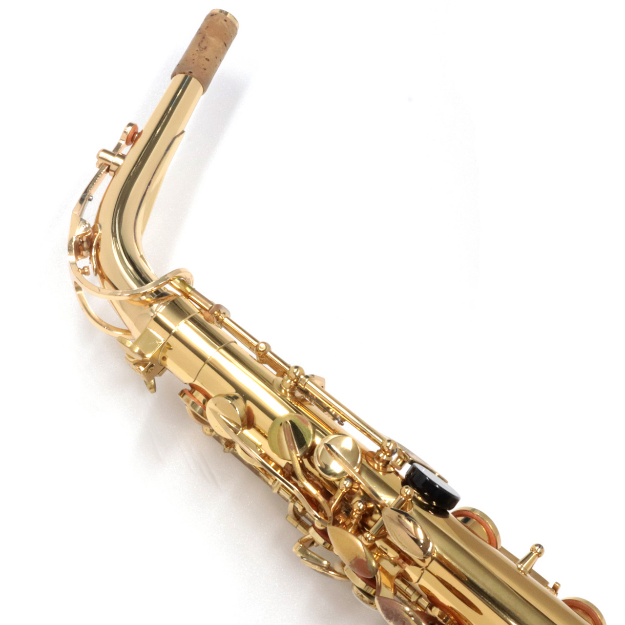 サックス Forestone フォレストーン Alto Saxophone GX Black Nickel