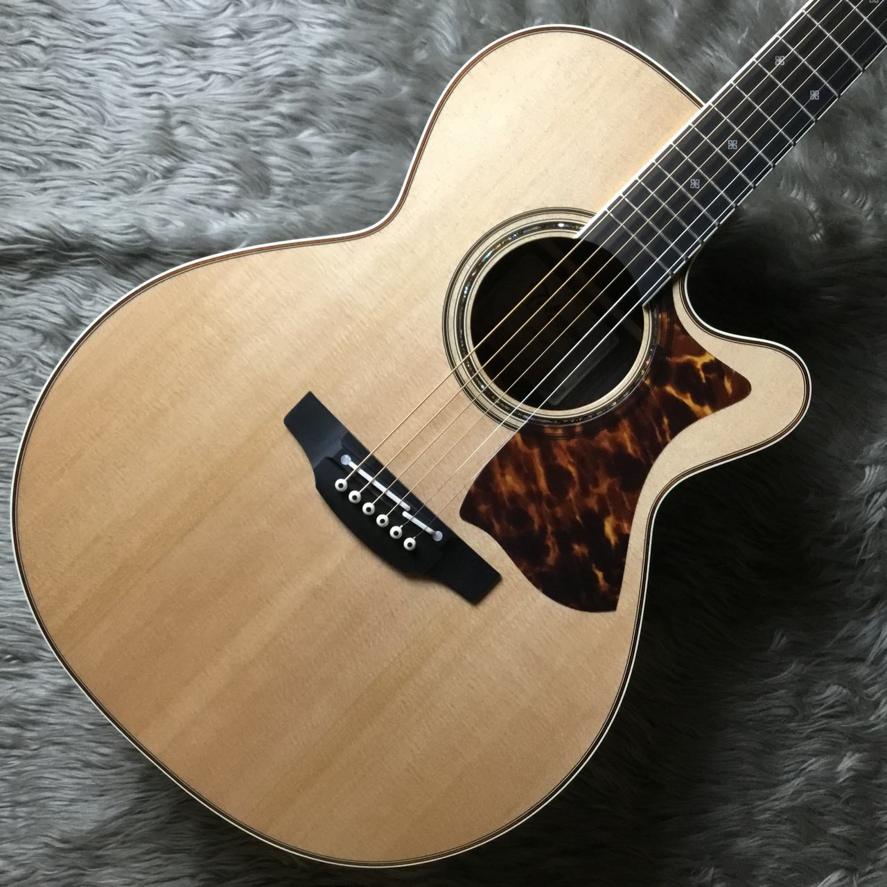 Takamine DMP50S NAT エレアコギター 【島村楽器 x Takamine