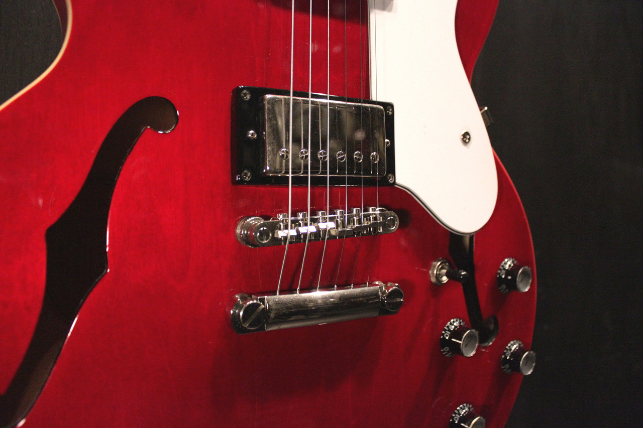 Epiphone DOT CH 2013（中古）【楽器検索デジマート】