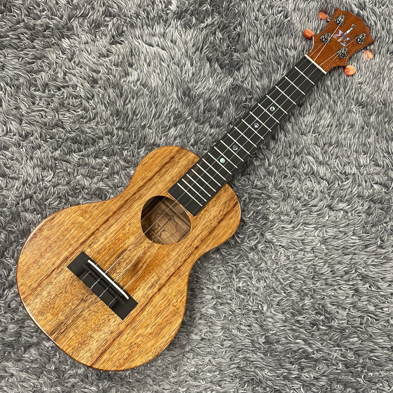 Koaloha KCM-00 UD Concert【2023年製】【Made in Hawaii】【コンサート・ウクレレ 】（新品/送料無料）【楽器検索デジマート】