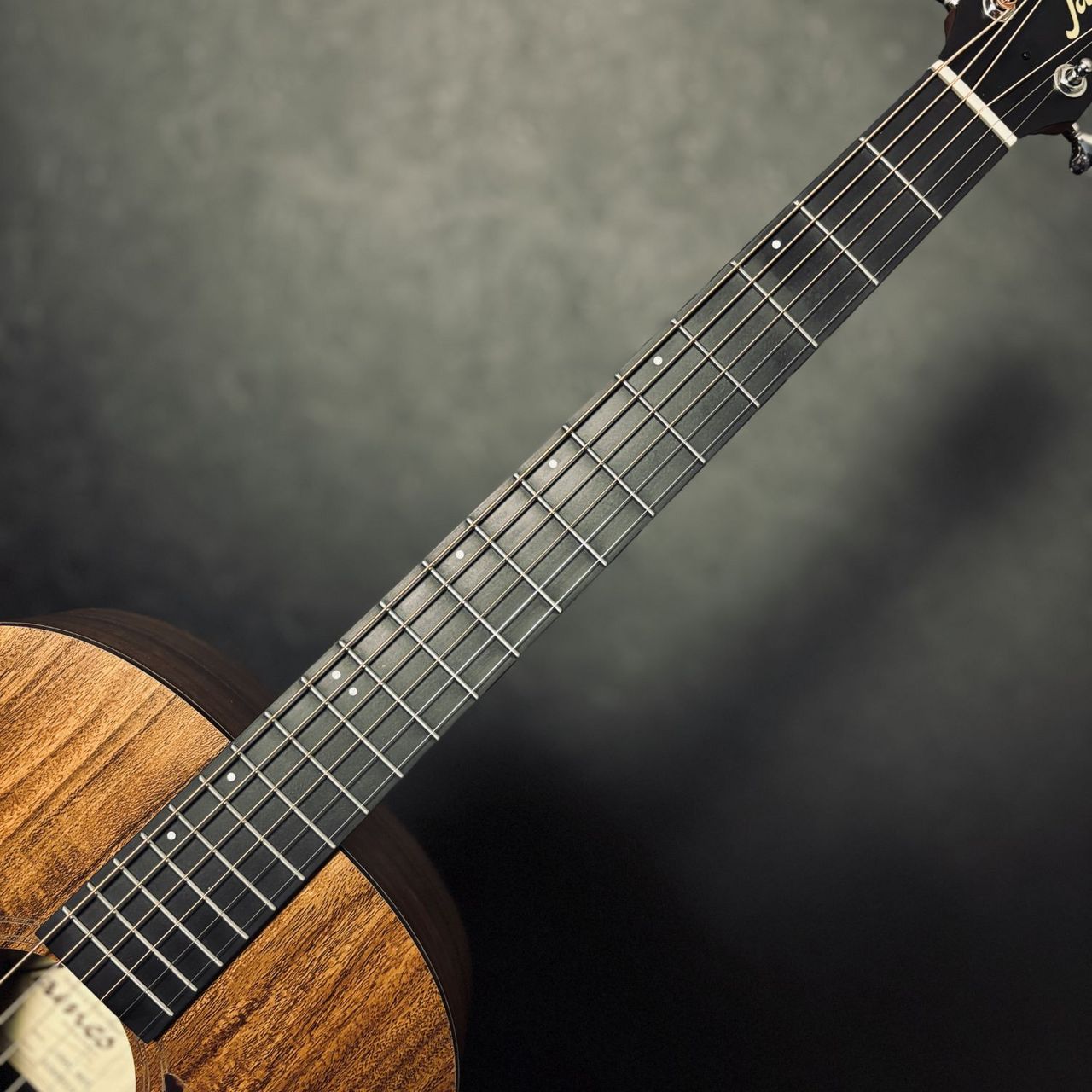 James J-100A MHT アコースティックギター ギグケース付属