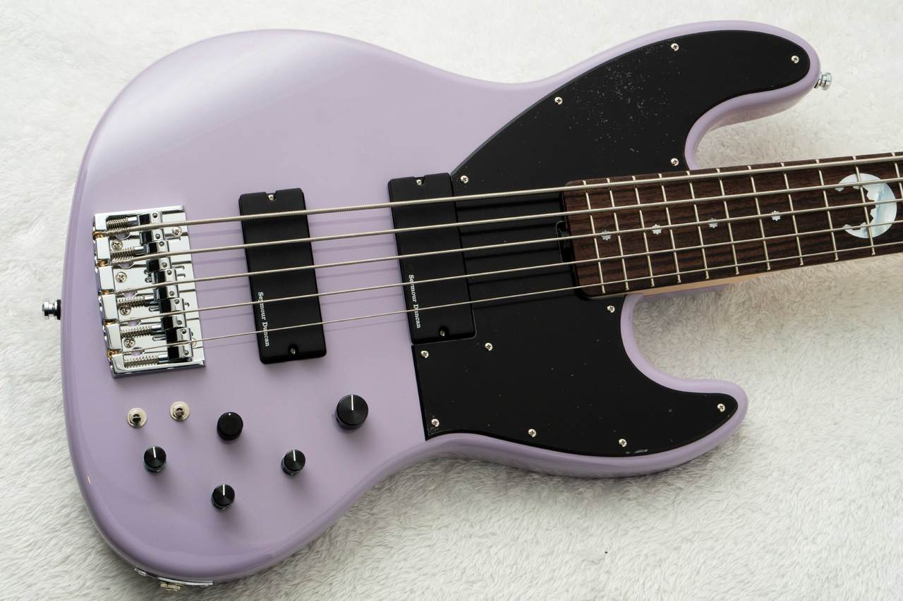 SCHECTER AC-EXB-5-AveMujica/Timoris/SIG #260718 【Ave Mujica