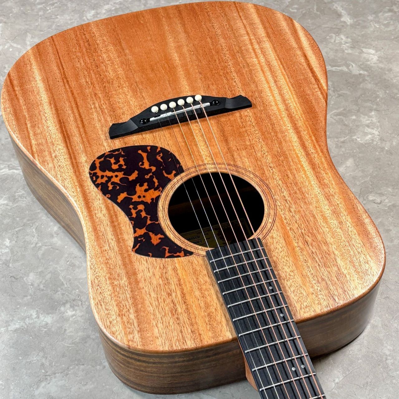 James J-300DII ドレッドノート 簡単弦高調整 トップ単板【現物画像