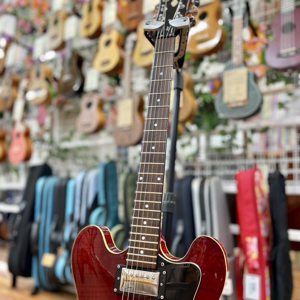 Epiphone DOT/CH【生駒店】（中古/送料無料）【楽器検索デジマート】