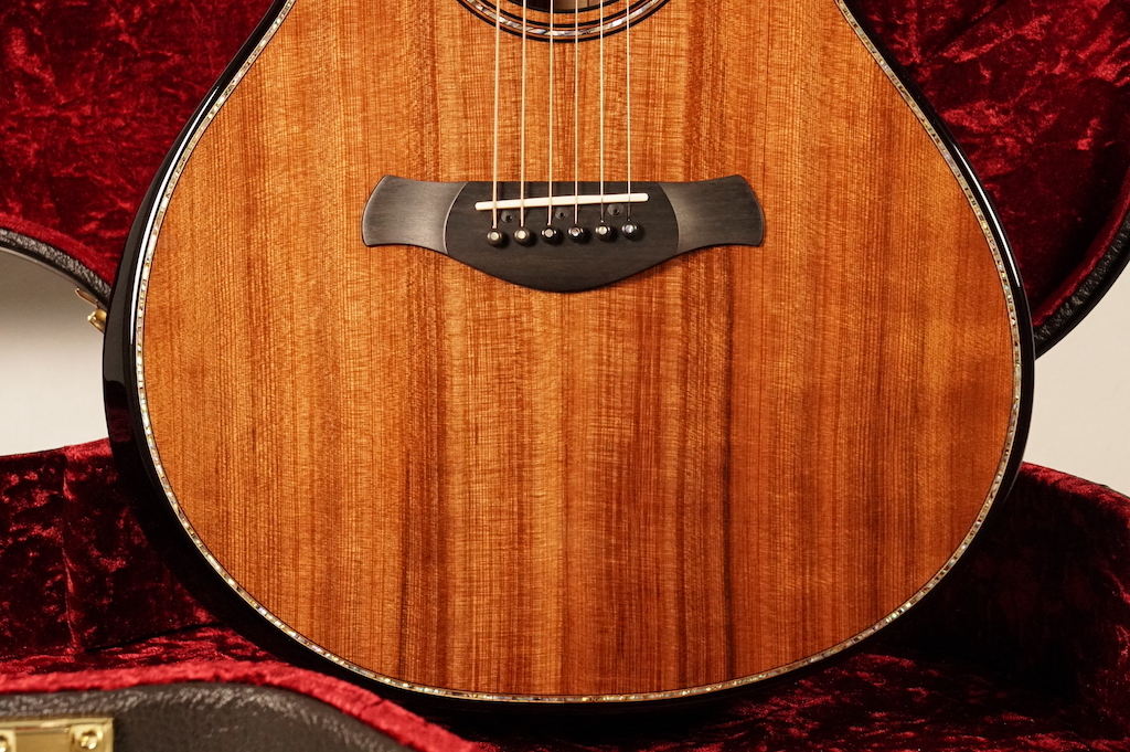 Taylor Builder's Edition 912ce ~Sinker Redwood × Honduran Rosewood