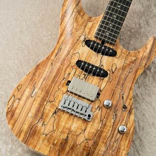 T's Guitars DST-Pro 22 Carved Spalted -Natural-【町田店】