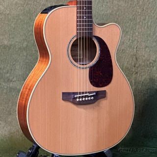 エレクトリック・アコースティックギター、Takamineの検索結果【楽器