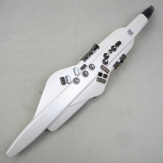 Roland AE-20W Aerophone エアロフォン 【横浜店】