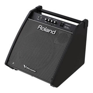 Roland PM-200 Personal Monitor