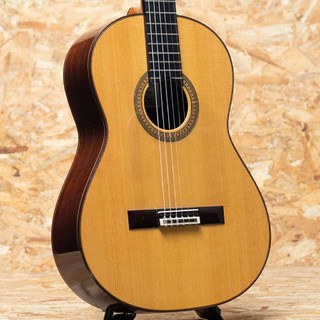 フラメンコ・ギターの検索結果【楽器検索デジマート】