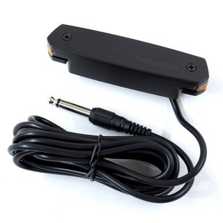 FISHMAN Neo-D Magnetic Soundhole Pickup (Humbucking) 【池袋店】