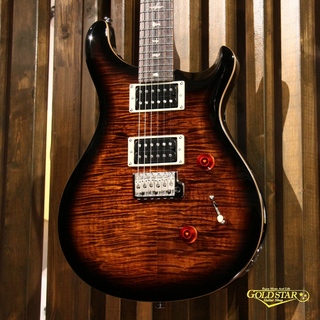 Paul Reed Smith(PRS) SE CUSTOM24【ロック式ペグ交換後のお渡し可能】