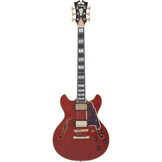 D'Angelico、Excel Mini DCの検索結果【楽器検索デジマート】