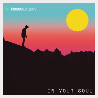 PRODUCER LOOPS IN YOUR SOUL