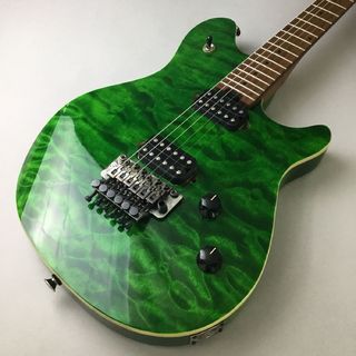 EVH EVH WG STD QM BKD MP (現物画像)