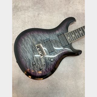 Paul Reed Smith(PRS) SE Mark Holcomb