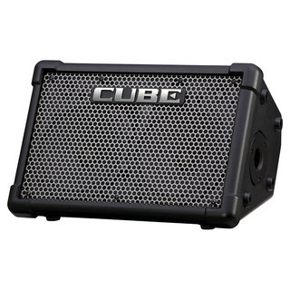 Roland CUBE Street EX Battery-Powered Stereo Amplifier [CUBE-STEX] 【路上ライブの定番!!】