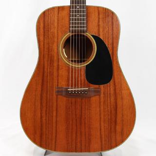 Martin D-25K2 *1980