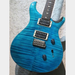 Paul Reed Smith(PRS) 【大海原を身に纏え!!】SE Custom24 -Blue Matteo-  #G042594【3.52kg】