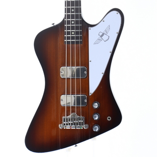 エレクトリック・ベース ＞ 変形タイプの検索結果【楽器検索デジマート】