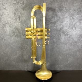 QUEENBRASS HINO model heavy