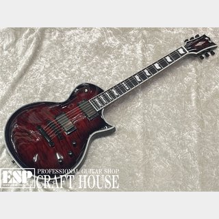 E-IIEC QM / See Thru Black Cherry Sunburst