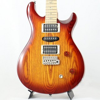 Paul Reed Smith(PRS) SE Swamp Ash Special (Vintage Sunburst) [SN.CTI F068333] 【特価】