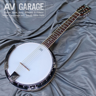 ARIA SB-10G Guitar Banjo