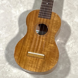 Famous FS-5G 【現物画像】