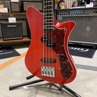 RYOGA SKATER-BASS/LEC-v2OL