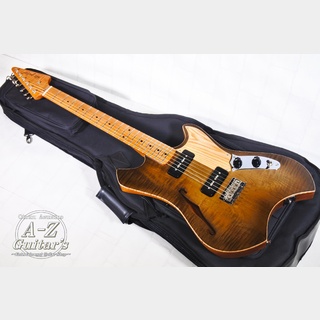hts guitar Swinger Type Custom Made