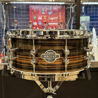 Sonor ASC11-1465SDWD【中古スネアドラム　SONOR ASCENTシリーズ】