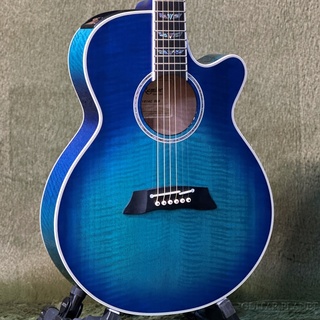 エレクトリック・アコースティックギター、Takamineの検索結果【楽器