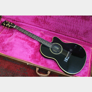 Gibson Chet Atkins SST EB