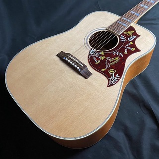 Gibson Hummingbird Faded