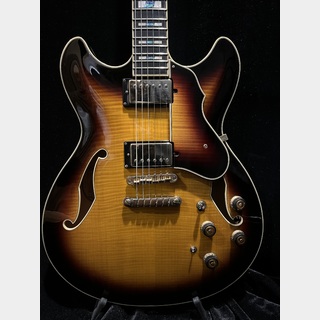 エレクトリックギター ＞ セミアコ、Ibanezの検索結果【楽器検索